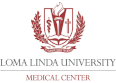 LLUMC2008_logo
